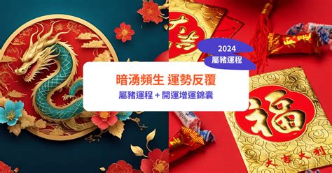 2024豬運程|屬豬2024運勢丨屬豬增運顏色、開運飾物、犯太歲化解、年份